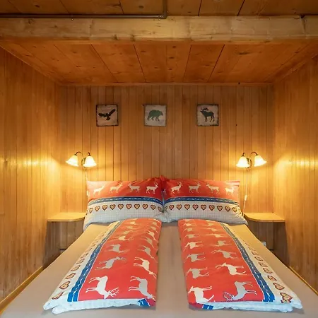 Chalet Spycher Апартаменты Хаслиберг